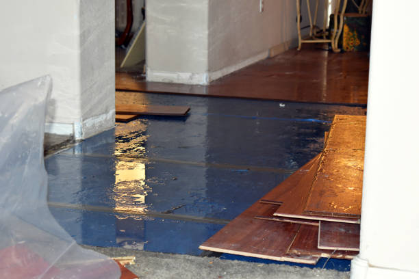 Professional Water Damage Restoration technician working in Victor, CA